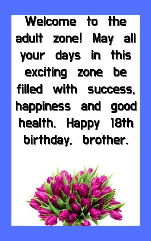 birthday status in hindi for brother